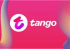 Tango App Review 2025: Legit Ways to Earn Real Money Live Streaming on Tango