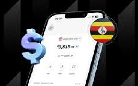 How to Get a USD Account in Uganda Without a Bank 2026 Guide