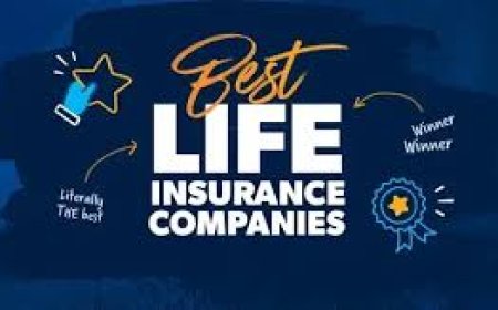 Best Life Insurance for Young Adults in 2026 (No Medical Exam)