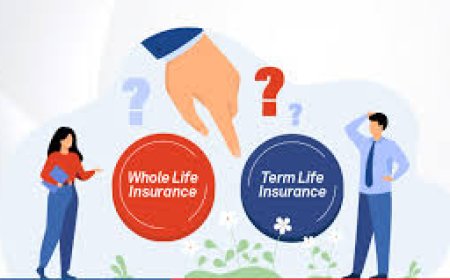 Term Life vs Whole Life Insurance: Which Should You Buy in 2026?