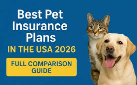 Best Pet Insurance Plans That Are Actually Worth It in 2026