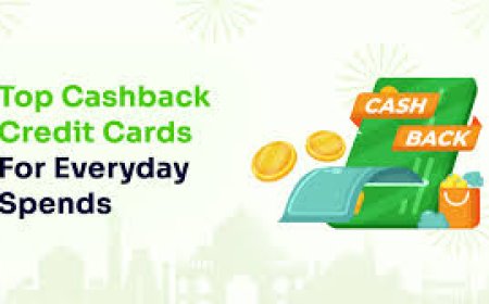 Best Cash Back Credit Cards for Everyday Spending in 2026