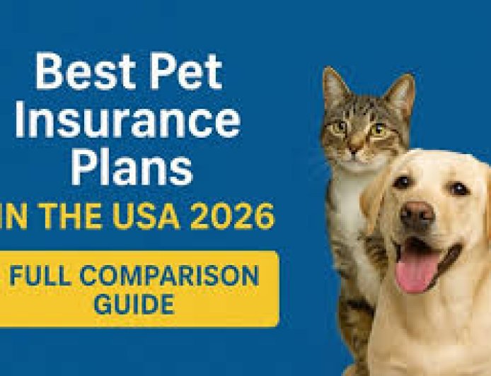 Best Pet Insurance Plans That Are Actually Worth It in 2026
