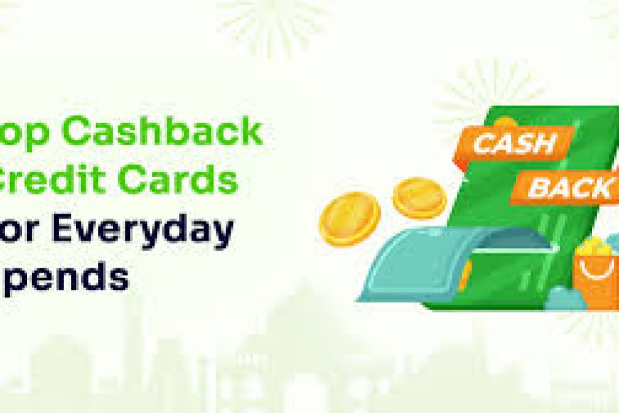 Best Cash Back Credit Cards for Everyday Spending in 2026