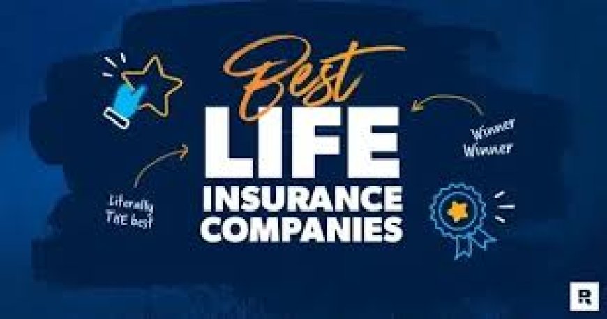 Best Life Insurance for Young Adults in 2026 (No Medical Exam)