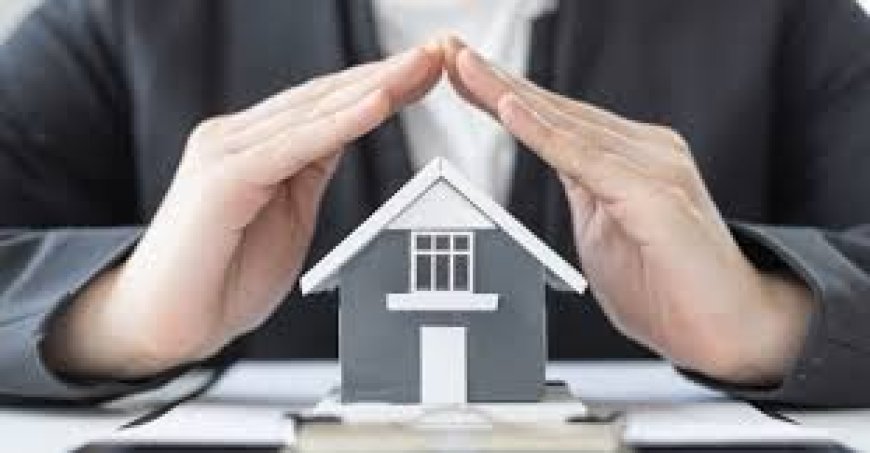 Best Renters Insurance Companies in 2026: Cheap, Reliable & Affordable Coverage (US & UK Guide)