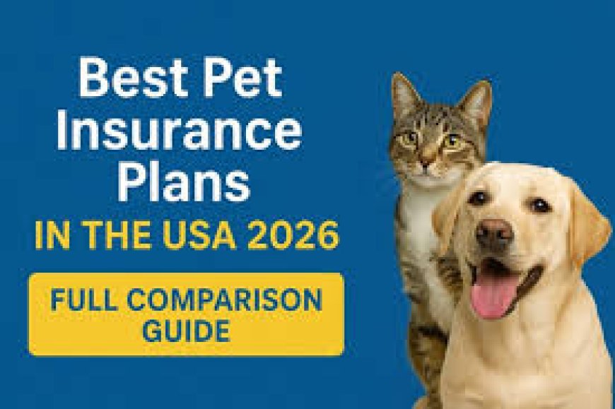 Best Pet Insurance Plans That Are Actually Worth It in 2026